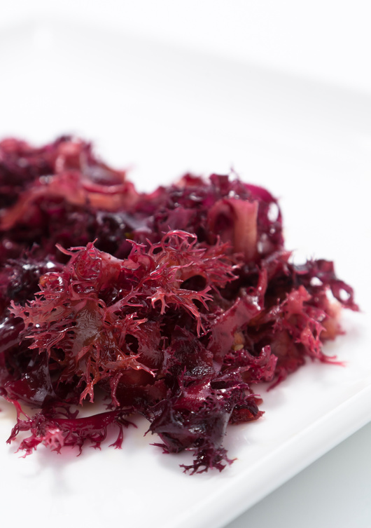 Red Tosaka Seaweed salad